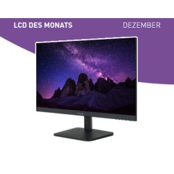 TERRA LCD/LED 2427W V2 black 3030220