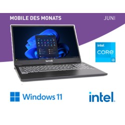 TERRA MOBILE 1516R i3-1315U W11P