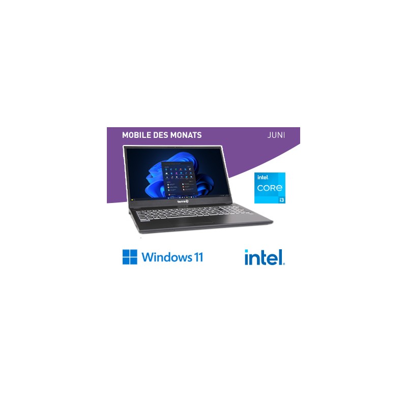 TERRA MOBILE 1516R i3-1315U W11P