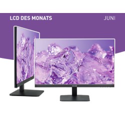 TERRA LCD/LED 2427W V2 black 3030220